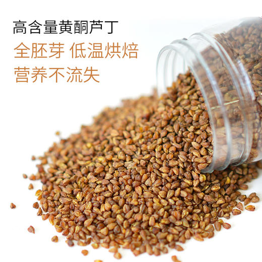 【买一赠一】全胚芽健康茶 | 大凉山黑苦荞胚芽茶苦荞茶 代用茶茶饮 400g/瓶 商品图4