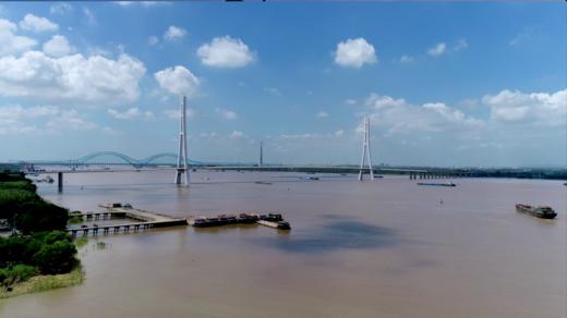 长江江豚 商品图0