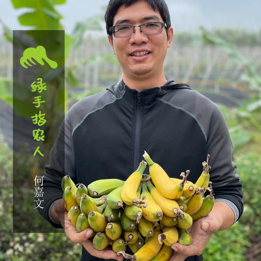 生态手指蕉 | 绿家自产 * Eco-finger banana | Self-production 商品图8