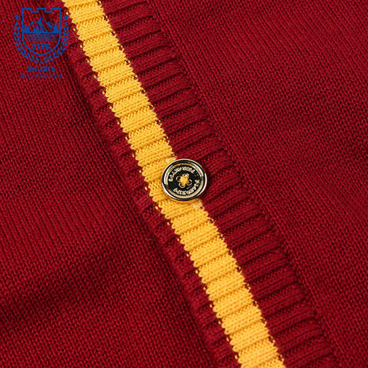 苏州太湖明珠幼儿园男孩毛衣* 商品图4