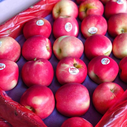 【小花苹果】新西兰有机posy小花苹果，个头小小，脆甜口感，新西兰的苹果还是挺精致的！ 商品图5