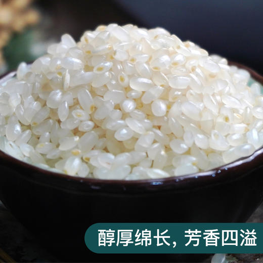 艾津稻园胚芽米5kg礼盒 商品图4