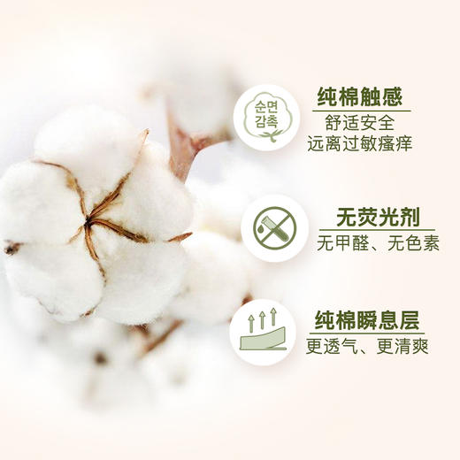 韩国lG贵爱娘韩方中草药卫生巾卫生巾42cm10P 商品图2