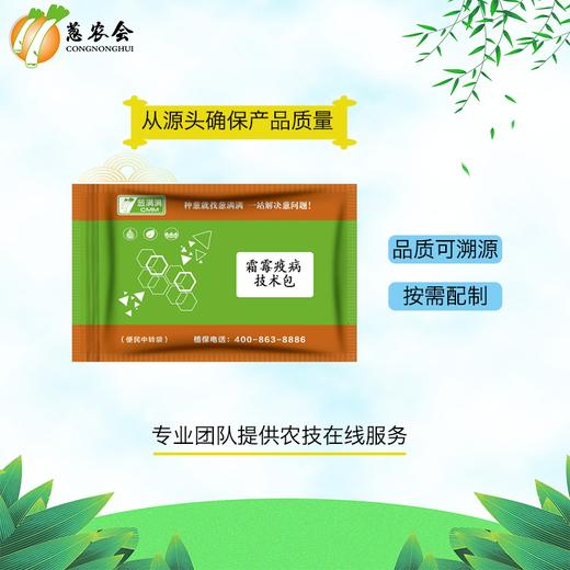 【农药】霜霉+疫病方案（可兑水300~350公斤） 商品图2