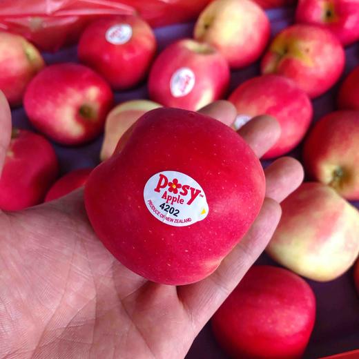 【小花苹果】新西兰有机posy小花苹果，个头小小，脆甜口感，新西兰的苹果还是挺精致的！ 商品图4