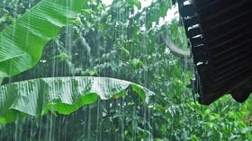 由“专治各种不通”的穴位，引发的联想……