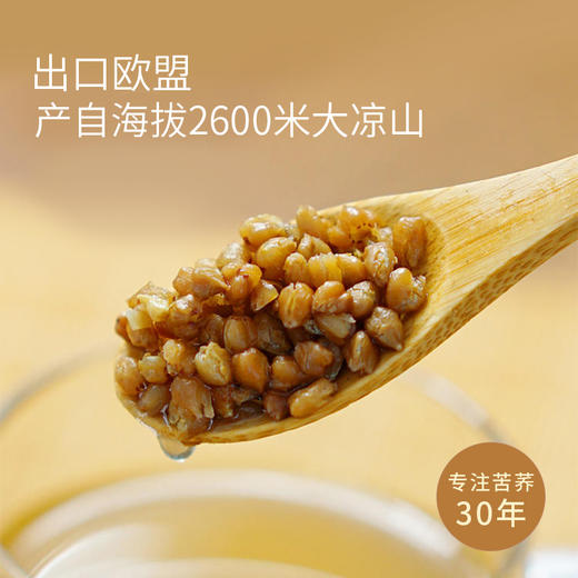 【买一赠一】全胚芽健康茶 | 大凉山黑苦荞胚芽茶苦荞茶 代用茶茶饮 400g/瓶 商品图5