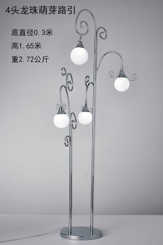 4头龙珠萌芽路引【运费自理】 商品图0