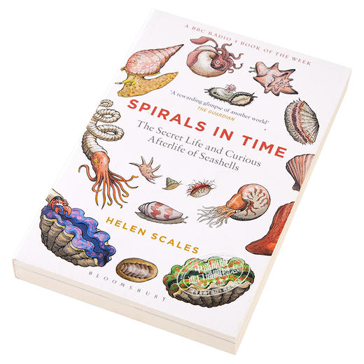 【中商原版】时间的螺旋 英文原版 Spirals in Time 生物科学书籍 Helen Scales Bloomsbury Sigma 商品图2