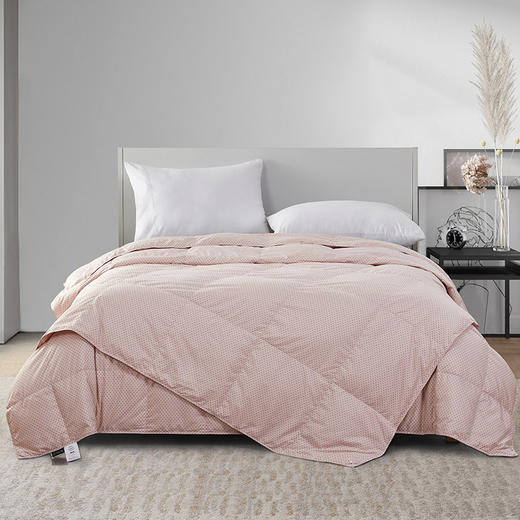 迪安娜可水洗鹅绒被二合一组合 商品图0