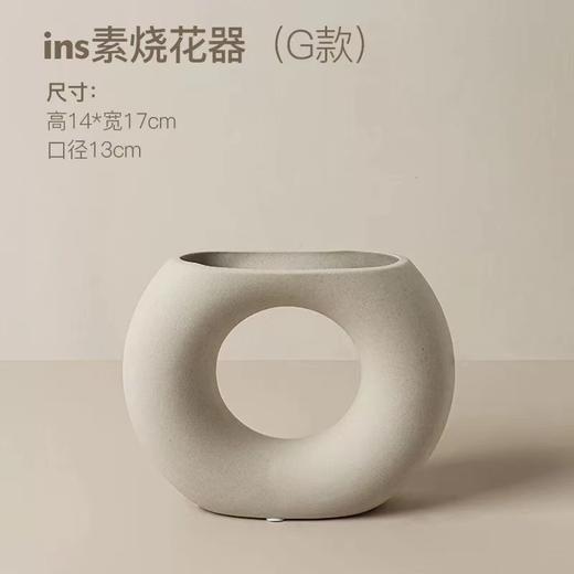 INS素烧花器 G款  · 艺术家居 商品图0