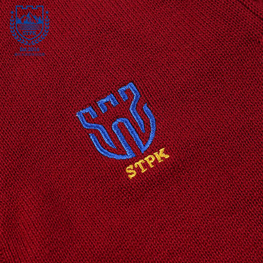 苏州太湖明珠幼儿园男孩毛衣* 商品图3