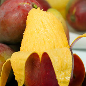 测评优品-贵妃芒 4.5斤/8斤