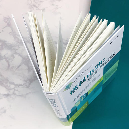 燃料电池：事实与数据 商品图6