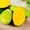 【基地直发】越南玉芒 当季新鲜芒果 香甜多汁 商品缩略图1