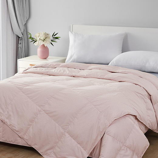 迪安娜可水洗鹅绒被二合一组合 商品图1