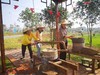 三峡归来田园门票 商品缩略图2