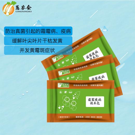 【农药】霜霉+疫病方案（可兑水300~350公斤） 商品图1