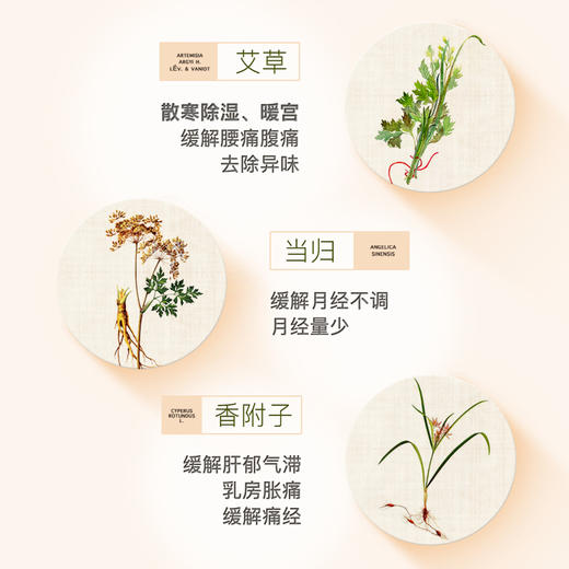 韩国lG贵爱娘韩方中草药卫生巾卫生巾42cm10P 商品图3