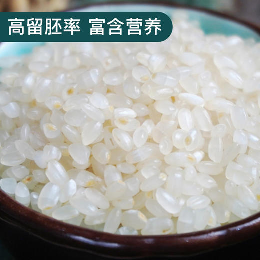 艾津稻园胚芽米5kg礼盒 商品图5