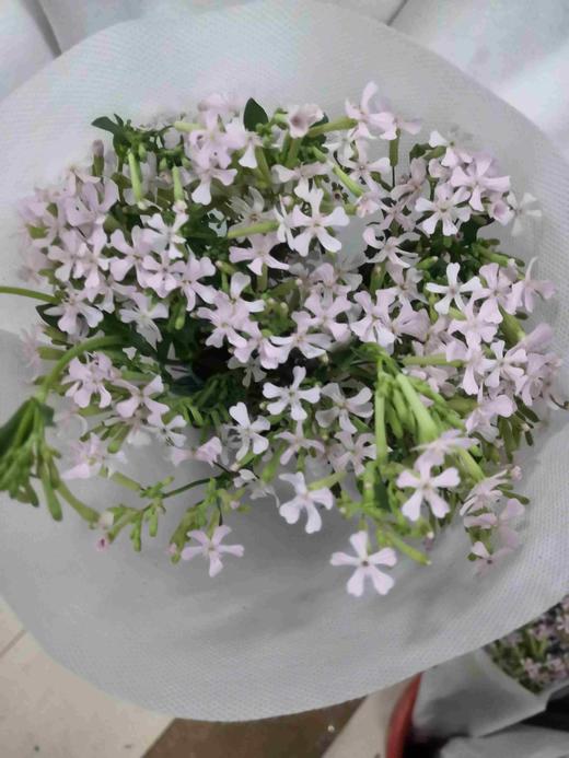 配花-粉钻-1扎 商品图0