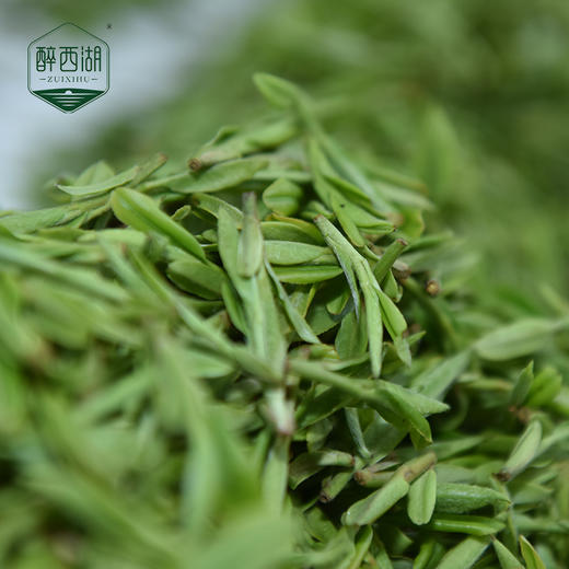 雨前茶·2021西湖龙井尝鲜装 商品图1