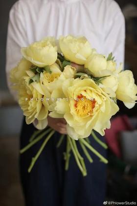 【山东仓现货】顺丰包邮芍药 | 巴茨拉