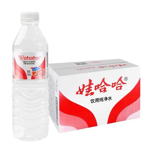 娃哈哈纯净水596ml 商品图0