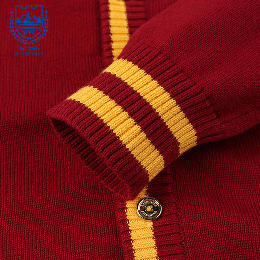 苏州太湖明珠幼儿园男孩毛衣* 商品图5