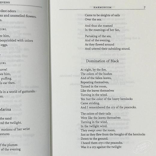 【中商原版】史蒂文斯诗集 普利策诗歌奖 英文原版 Wallace Stevens Collected Poems 商品图7