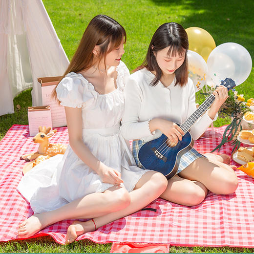 【春秋游】便携折叠野餐垫 商品图0