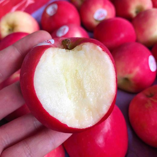 【小花苹果】新西兰有机posy小花苹果，个头小小，脆甜口感，新西兰的苹果还是挺精致的！ 商品图7