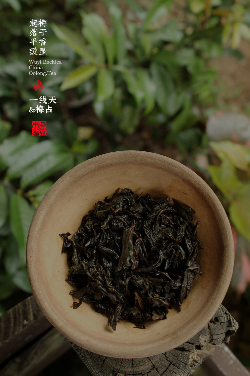 一线天梅占2020年正岩武夷岩茶传统名丛中火花香柚香嘉木会督造