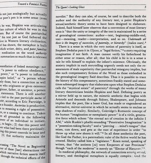 预售 【中商原版】阁楼上的疯女人：女性作家与19世纪文学想象 英文原版 The Madwoman in the Attic Sandra M.Gilbert 商品图4