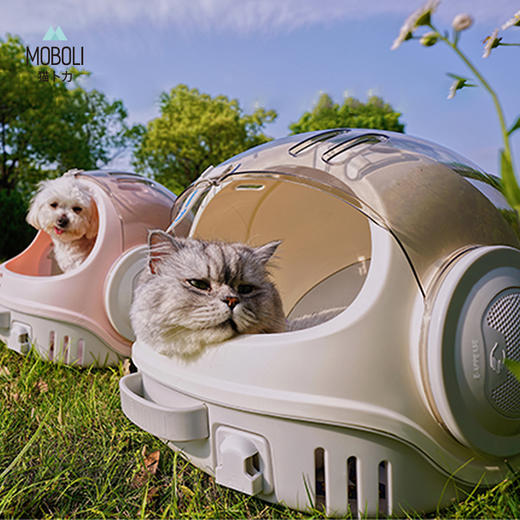 猫卜力猫咪外出便携包WE双肩宠物透气猫背包 商品图4