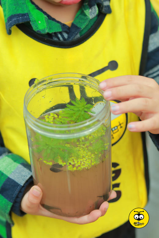春日限量 不要错过小蝌蚪！360度观察蝌蚪生命史 孩子可以那么专注 商品图1