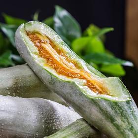  2021头茬羊角蜜上架啦！