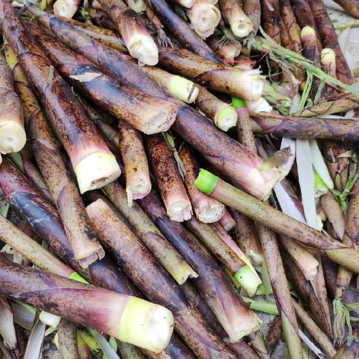 【野春笋】产自黄山深处野生竹林/贽物自有山地/不施除草剂(5斤98元)带皮顺丰冷鲜发货 商品图3