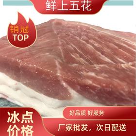 通州厂  大红门 鲜一级脊背（上五花） 10kg