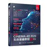 中文版CINEMA 4D R20实战基础教程 商品缩略图0