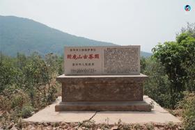  2021年第6季茶山行｜日记11：困鹿山皇家贡茶园