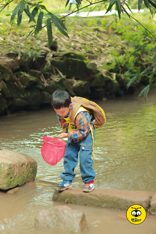 春日限量 不要错过小蝌蚪！360度观察蝌蚪生命史 孩子可以那么专注 商品图2