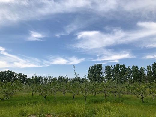 自然学苑 商品图0