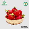 菁沃有机樱桃萝卜300g 商品缩略图0