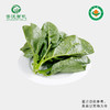 菁沃有机木耳菜300g 商品缩略图0