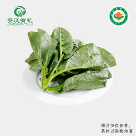 菁沃有机木耳菜300g