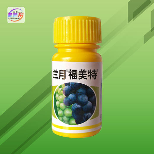 兰月福美特美好得01氯吡脲10ml11葡萄膨果保果