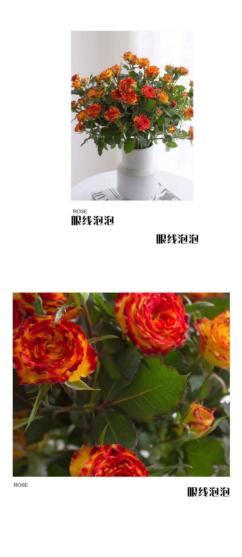 眼线多头玫瑰【你说我眼睛闪闪的有星星,因为抬头转身,就能看到你】简