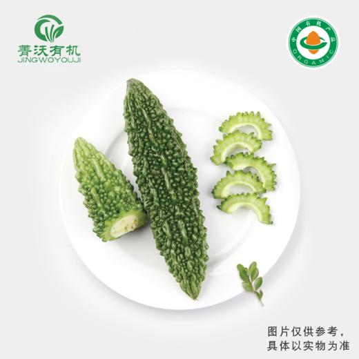 菁沃有机苦瓜300g 商品图0