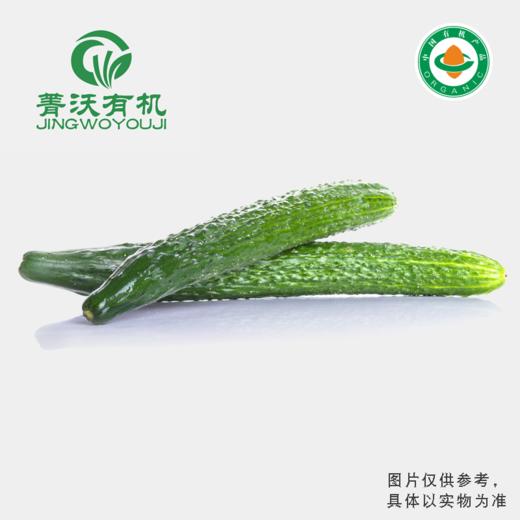 菁沃有机青皮黄瓜300g 商品图0